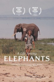 A Life Among Elephants A Life Among Elephants