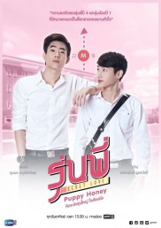 Puppy Honey-full