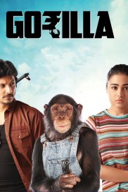 Gorilla Gorilla