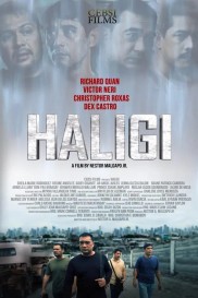 Haligi-full