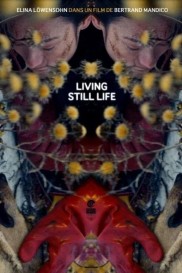 Living Still Life-full