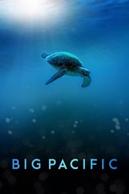 Big Pacific-full