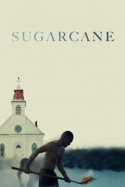 Sugarcane-full