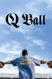 Q Ball-full