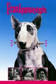 Frankenweenie Frankenweenie