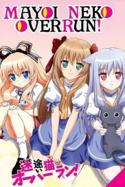 Stray Cat Overrun!-full
