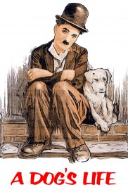 A Dog's Life A Dog's Life-full