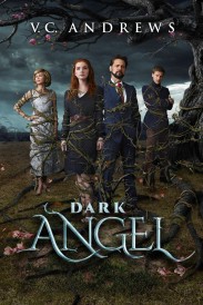 Dark Angel Dark Angel