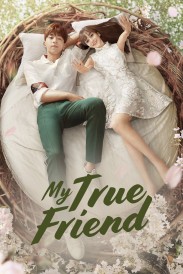 My True Friend My True Friend