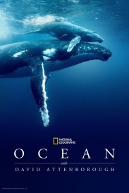 Ocean with David Attenborough Ocean with David Attenborough