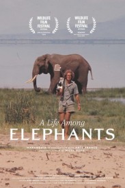 A Life Among Elephants A Life Among Elephants