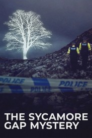 The Sycamore Gap Mystery