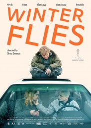 Winter Flies Winter Flies