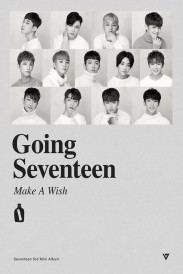 GOING SEVENTEEN