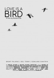 Love is A Bird Love is A Bird
