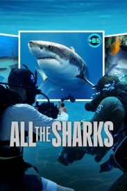 All the Sharks