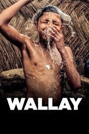 Wallay