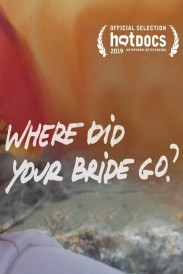 Where Did Your Bride Go? Where Did Your Bride Go?