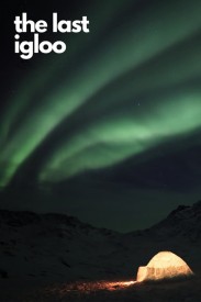 The Last Igloo The Last Igloo