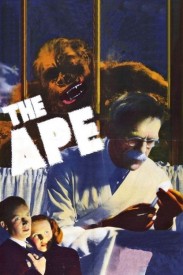The Ape The Ape