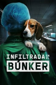 Undercover. Inside the Bunker Undercover. Inside the Bunker