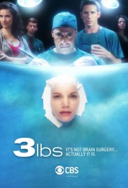 3 lbs 3 lbs