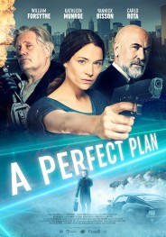 A Perfect Plan A Perfect Plan