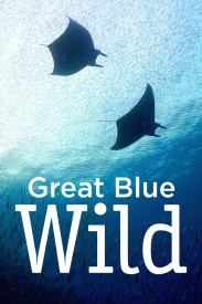 Great Blue Wild Great Blue Wild