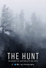 The Hunt: In Search of Australia's Big Cats