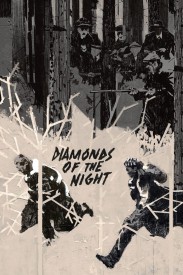 Diamonds of the Night