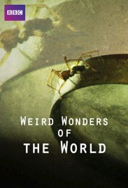 Weird Wonders of the World Weird Wonders of the World