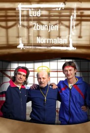 Crazy, Confused, Normal Crazy, Confused, Normal