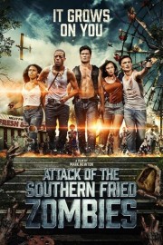 Attack Of The Southern Fried Zombies Attack Of The Southern Fried Zombies