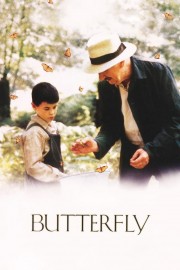 Butterfly Butterfly