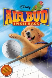 Air Bud: Spikes Back Air Bud: Spikes Back
