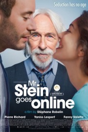 Mr. Stein Goes Online Mr. Stein Goes Online