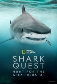 Shark Quest: Hunt For The Apex Predator Shark Quest: Hunt For The Apex Predator