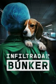 Undercover. Inside the Bunker Undercover. Inside the Bunker