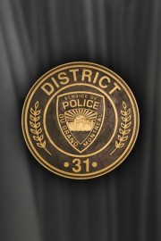 District 31 District 31