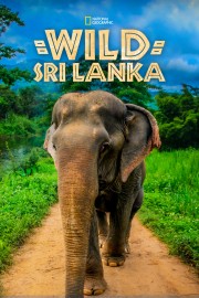 Wild Sri Lanka Wild Sri Lanka