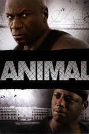 Animal Animal