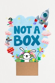 Not a Box Not a Box