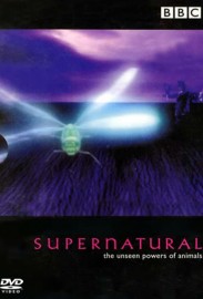 Supernatural: Unseen Power of Animals Supernatural: Unseen Power of Animals