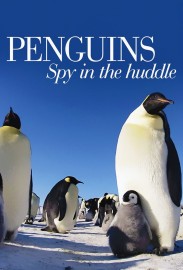 Penguins: Spy in the Huddle Penguins: Spy in the Huddle