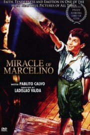 The Miracle of Marcelino The Miracle of Marcelino