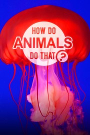 How Do Animals Do That? How Do Animals Do That?