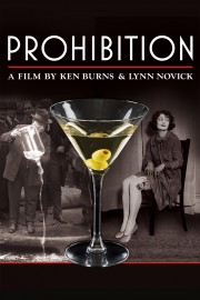 Prohibition Prohibition