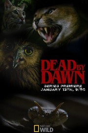 Dead By Dawn Dead By Dawn