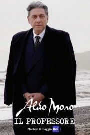 Aldo Moro -  il Professore