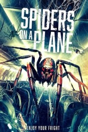 Spiders on a Plane Spiders on a Plane